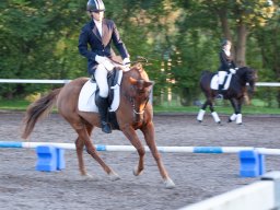 IMG_7950_web